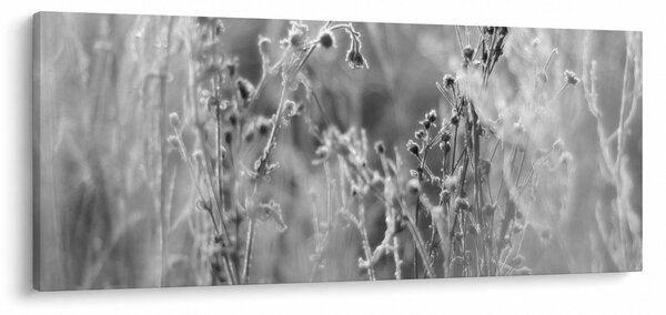 Slika - Divlja livada (120x50 cm)