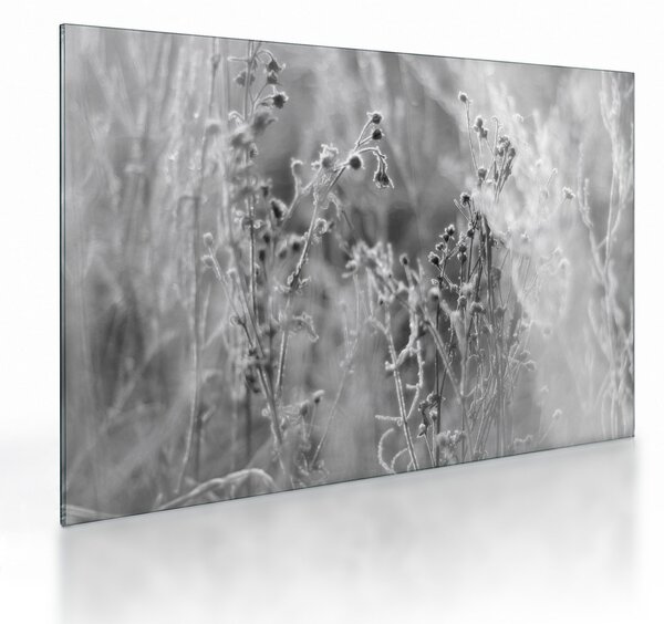 Staklena slika - Divlja livada (70x50 cm)