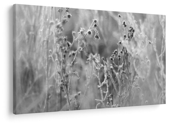 Slika - Divlja livada (90x60 cm)