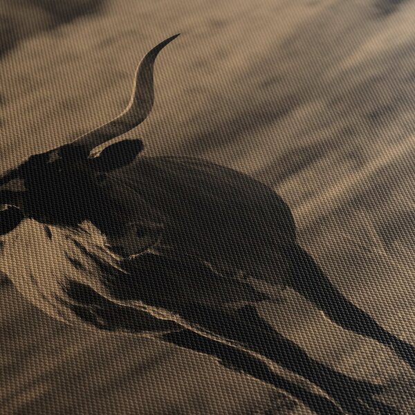 Slika - Teksaška krava (150x105 cm)