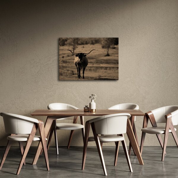 Slika - Teksaška krava (70x50 cm)