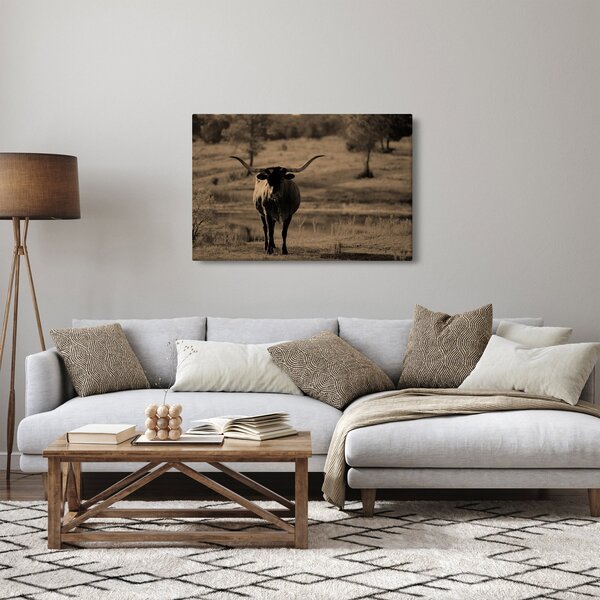 Slika - Teksaška krava (90x60 cm)