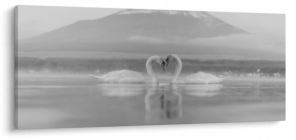 Slika - Zaljubljeni labudovi (120x50 cm)