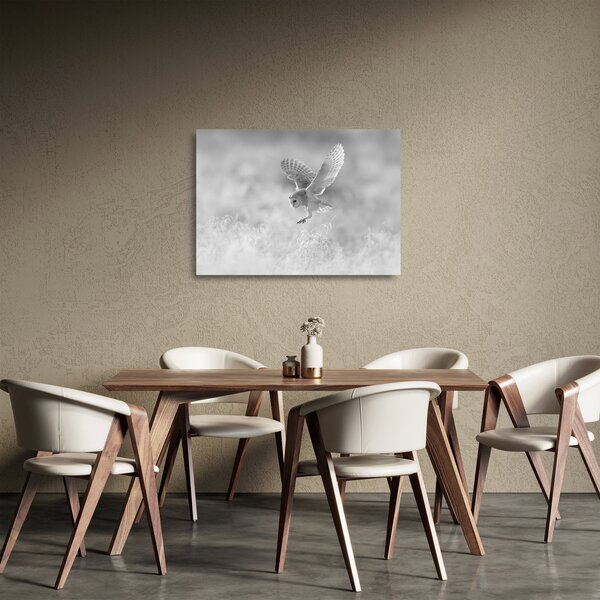 Staklena slika - Sova u polju (70x50 cm)