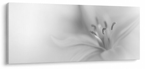 Slika - Nježni ljiljan (120x50 cm)