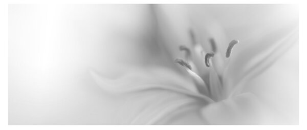 Slika - Nježni ljiljan (120x50 cm)