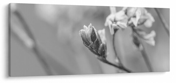 Slika - Rascvjetani cvijet (120x50 cm)