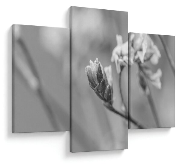 Slika - Rascvjetani cvijet (90x60 cm)