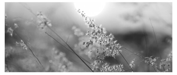 Slika - Jesenja livada (120x50 cm)