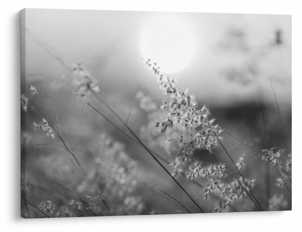 Slika - Jesenja livada (70x50 cm)