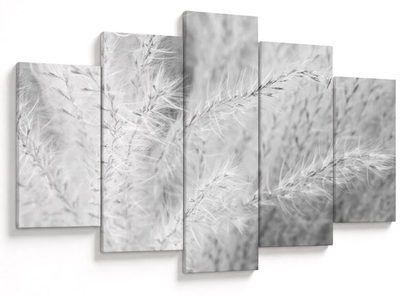 Slika - Pampas trava N⁰1 (150x105 cm)