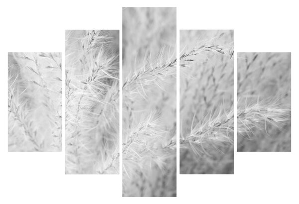 Slika - Pampas trava N⁰1 (150x105 cm)