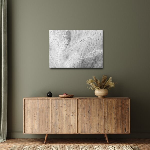 Slika - Pampas trava N⁰1 (70x50 cm)