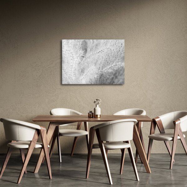 Slika - Pampas trava N⁰1 (70x50 cm)