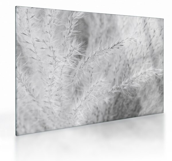 Staklena slika - Pampas trava N⁰1 (70x50 cm)