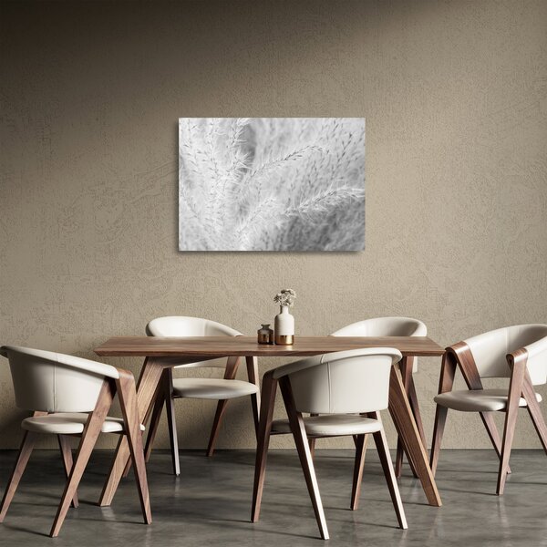 Staklena slika - Pampas trava N⁰1 (70x50 cm)