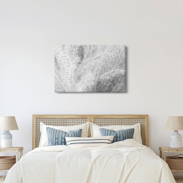 Slika - Pampas trava N⁰1 (90x60 cm)