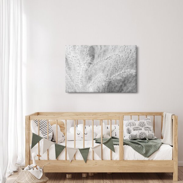 Slika - Pampas trava N⁰1 (90x60 cm)