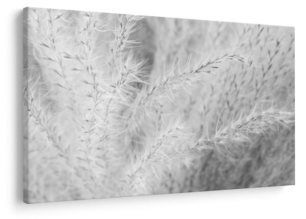 Slika - Pampas trava N⁰1 (90x60 cm)