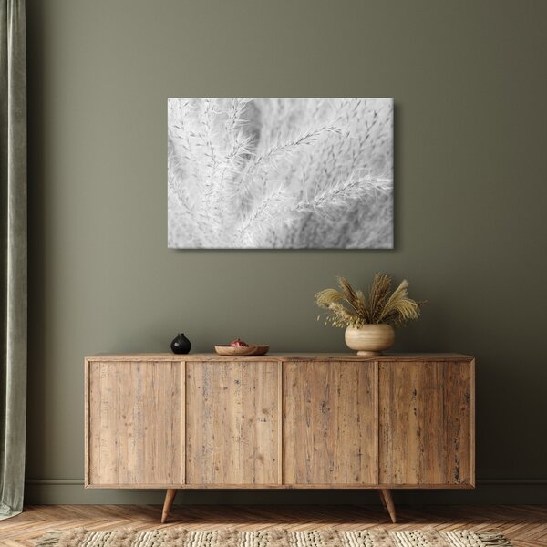 Slika - Pampas trava N⁰1 (90x60 cm)