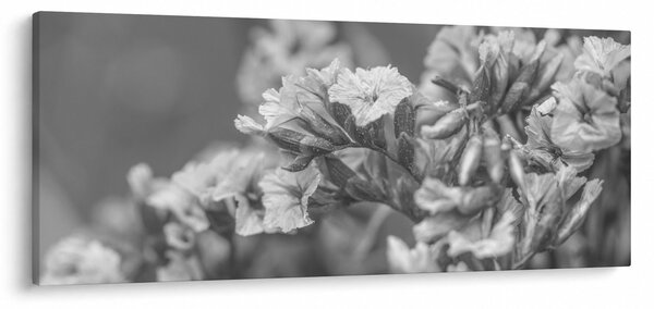 Slika - Osušeno cvijeće (120x50 cm)
