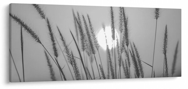 Slika - Livada u zalasku sunca (120x50 cm)