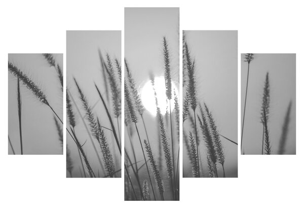 Slika - Livada u zalasku sunca (150x105 cm)