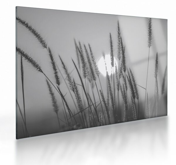 Staklena slika - Livada u zalasku sunca (70x50 cm)