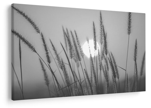 Slika - Livada u zalasku sunca (90x60 cm)