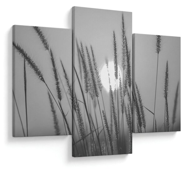 Slika - Livada u zalasku sunca (90x60 cm)