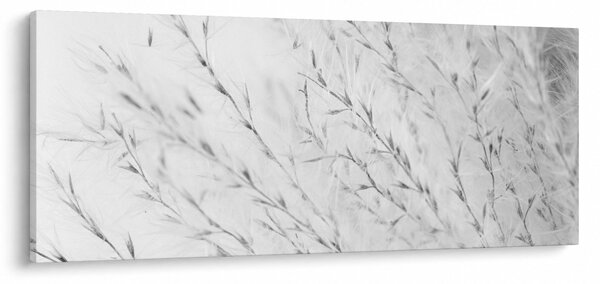 Slika - Pampas trava N⁰2 (120x50 cm)