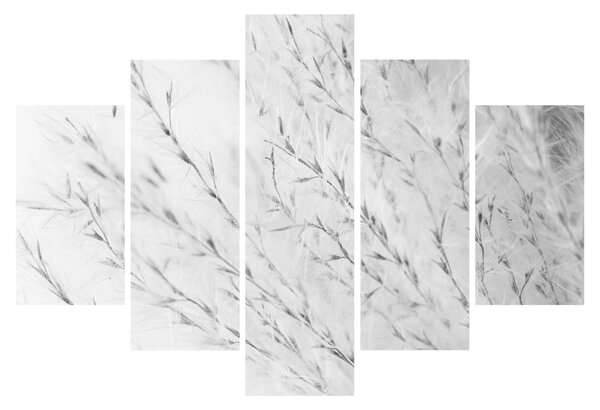 Slika - Pampas trava N⁰2 (150x105 cm)