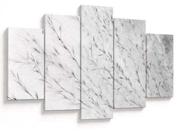 Slika - Pampas trava N⁰2 (150x105 cm)