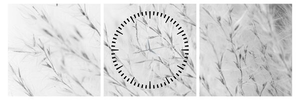 Slika - Pampas trava N⁰2 (sa satom) (90x30 cm)