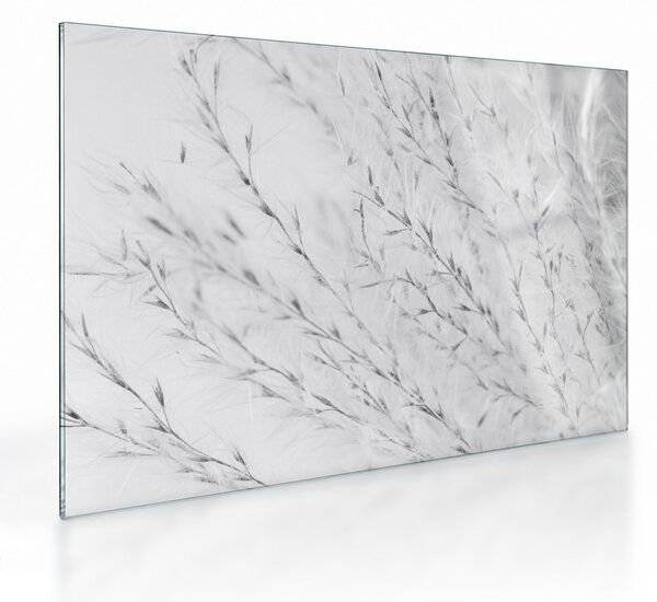 Staklena slika - Pampas trava N⁰2 (70x50 cm)
