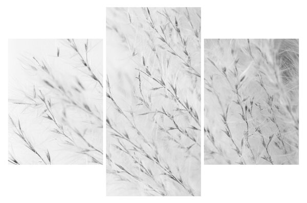 Slika - Pampas trava N⁰2 (90x60 cm)