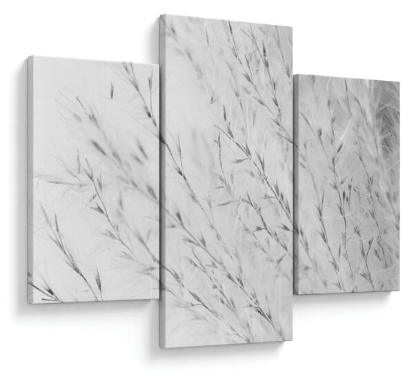 Slika - Pampas trava N⁰2 (90x60 cm)