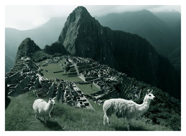 Slika - Plamen u Machu Picchuu u Peruu (70x50 cm)