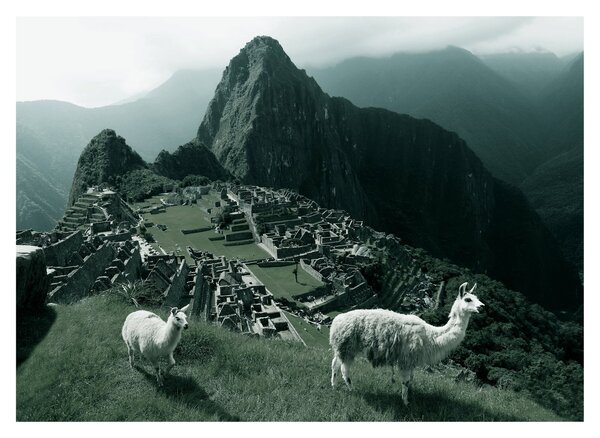 Staklena slika - Plamen u Machu Picchuu u Peruu (70x50 cm)