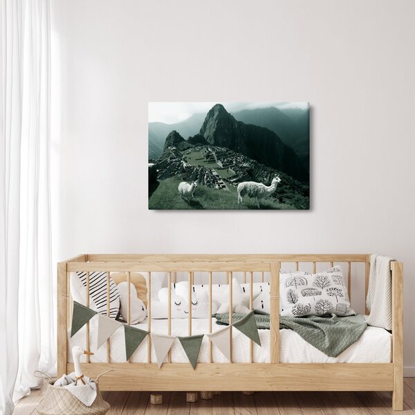 Slika - Plamen u Machu Picchuu u Peruu (90x60 cm)
