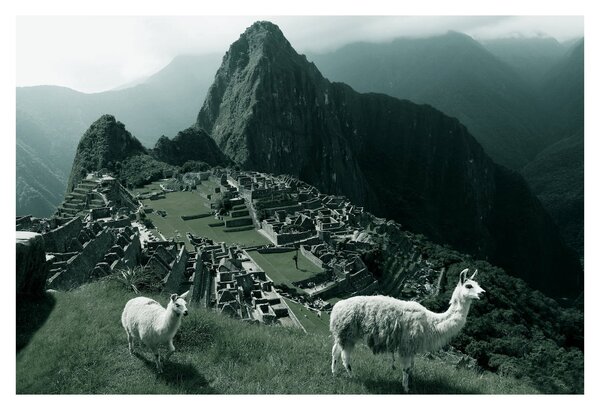 Slika - Plamen u Machu Picchuu u Peruu (90x60 cm)