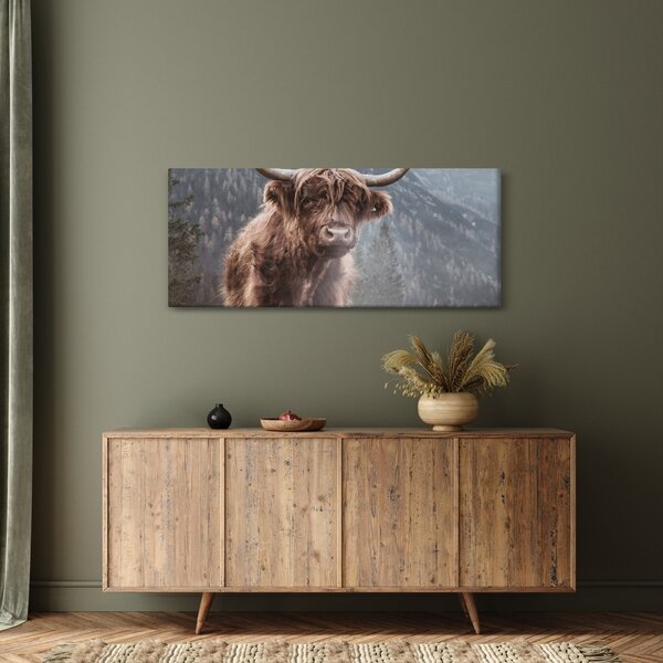 Slika - Highlander krava (120x50 cm)