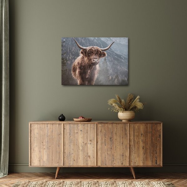 Slika - Highlander krava (70x50 cm)