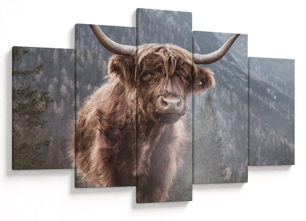 Slika - Highlander krava (150x105 cm)