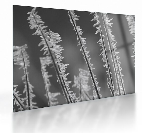 Staklena slika - Ledeno hladno (70x50 cm)