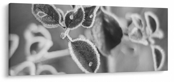 Slika - Priroda u jesen (120x50 cm)