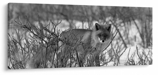 Slika - Lisica zimi (120x50 cm)