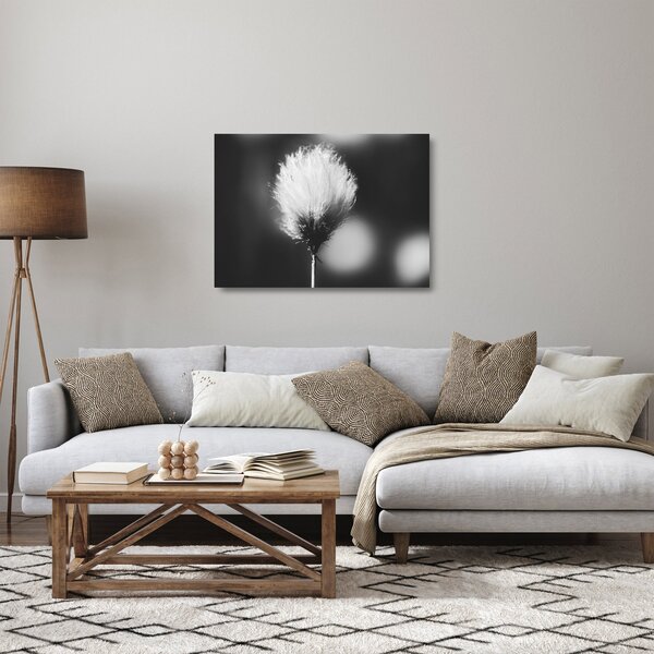 Staklena slika - Crno-bijela pamučna trava (70x50 cm)