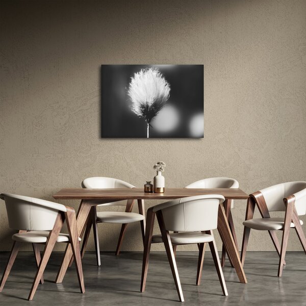 Slika - Crno-bijela pamučna trava (70x50 cm)
