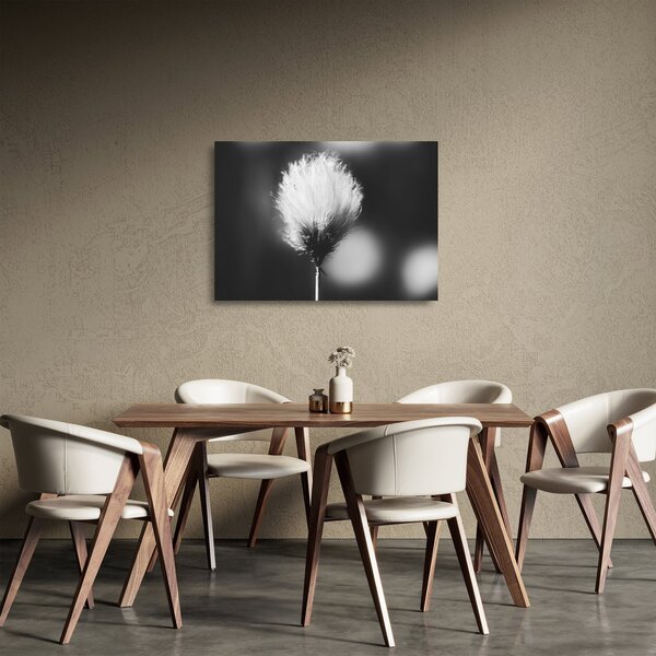 Staklena slika - Crno-bijela pamučna trava (70x50 cm)